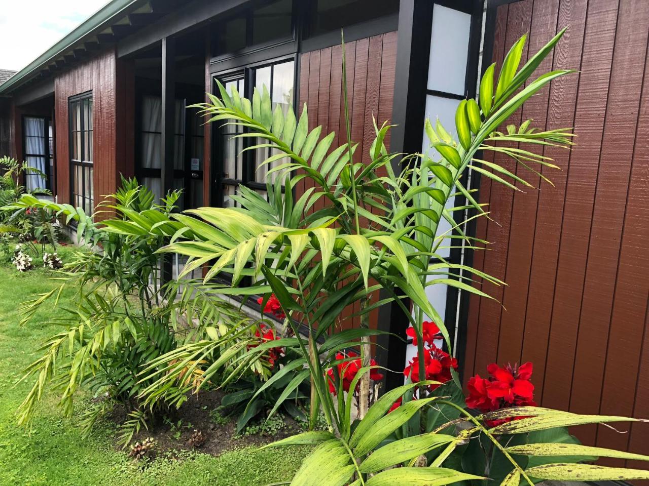 Teal Motor Lodge Gisborne Bagian luar foto